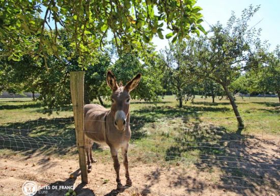 Gîte Le Four à pain