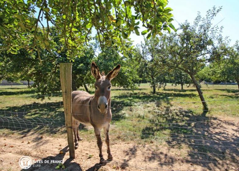 Gîte Le Four à pain
