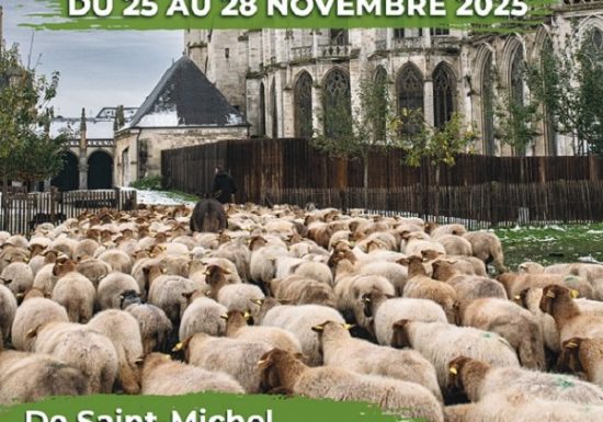 Transhumance à Evreux