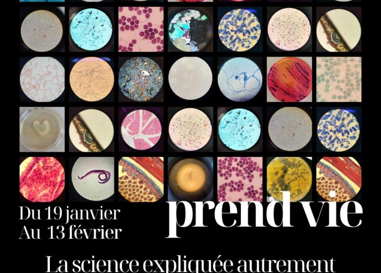 Quand l&rsquo;art prend vie : la science expliquée autrement