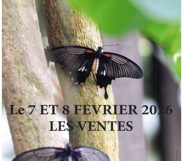 Expo Photographique à la Salle des fêtes des Ventes