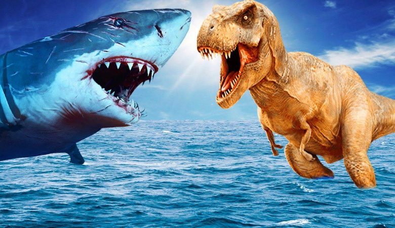 Exposition : Jurassic-shark au Bel Ebat