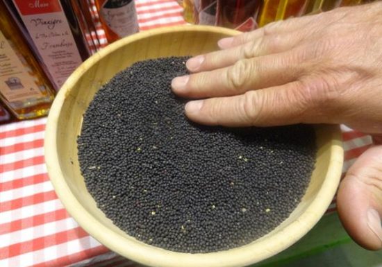 Ferme du clos de la Mare