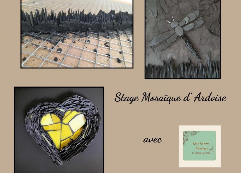 Stage Mosaique d’ardoise à Sacquenville