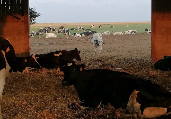 La Ferme de St Germain de Fresney