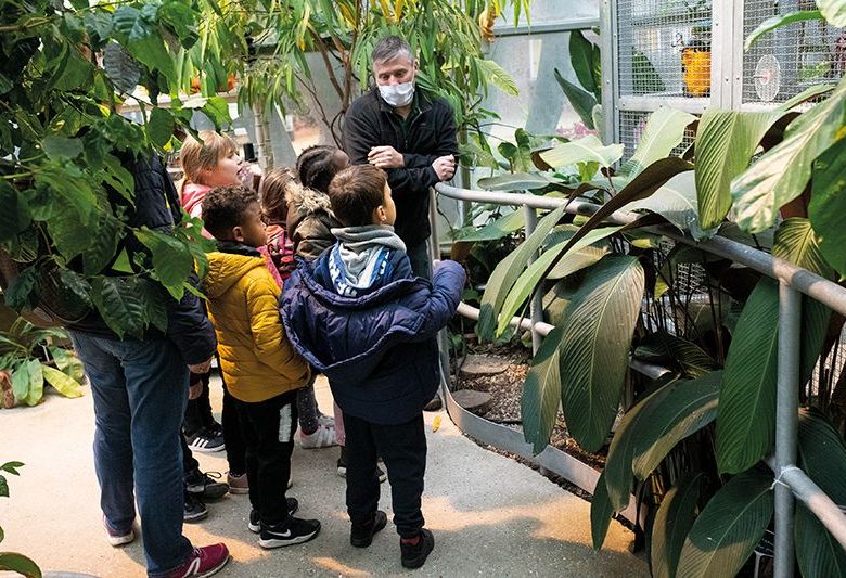Pourquoi les feuilles tombent? – La Serre s’anime à Evreux