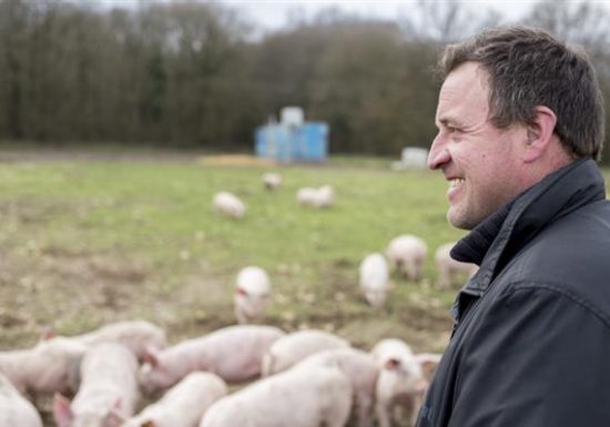 Les cochonnailles de jérémie