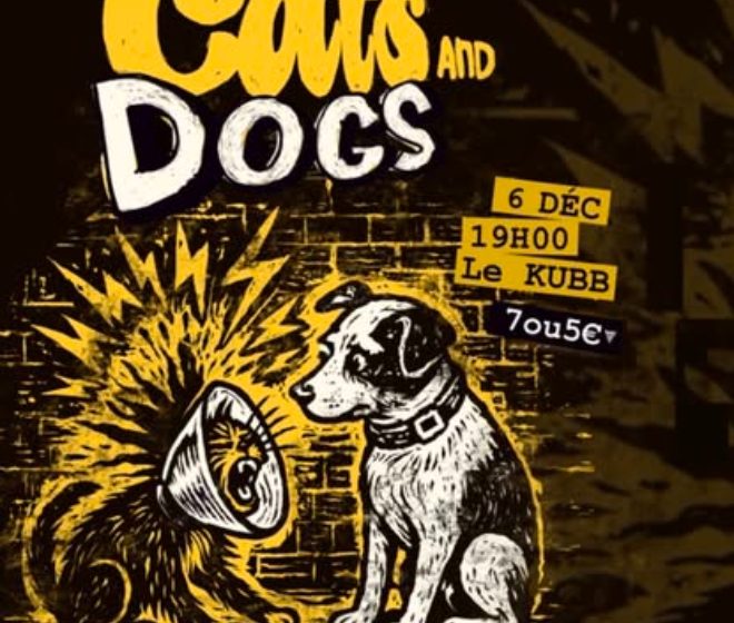 Concert Cats And Dogs- Le Kubb