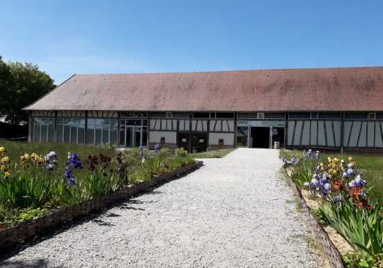 Site archéologique de Gisacum