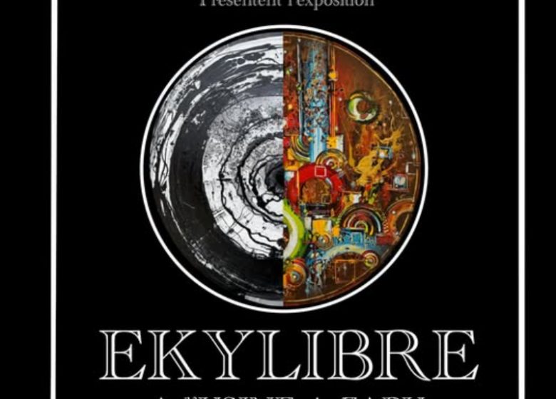 Exposition à l’usine à Zabu : Laser Noir Et La Boukle