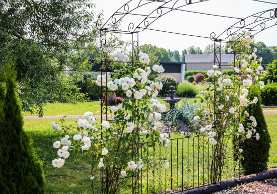 Domaine de la Forêt
