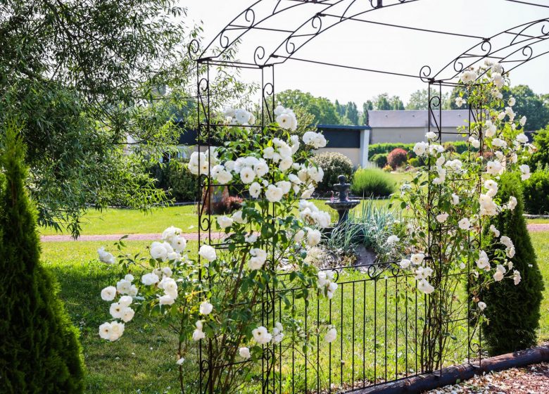 Domaine de la Forêt