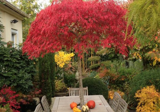 le Jardin des Coteaux de St Michel