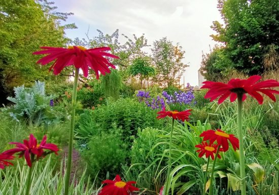 Le Jardin secret de Pan