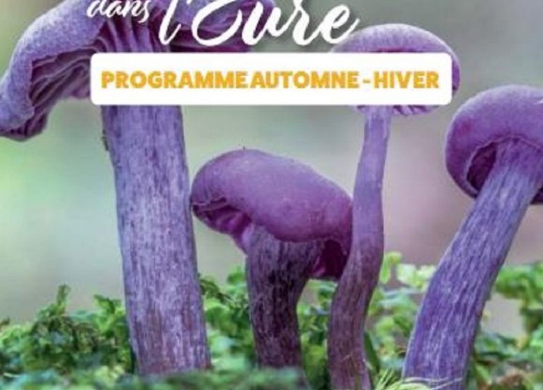 Sortie nature à Saint-André de l&rsquo;Eure : les rapacs des plaines