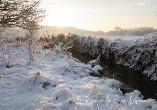 Le refuge du Bois d&rsquo;Amour