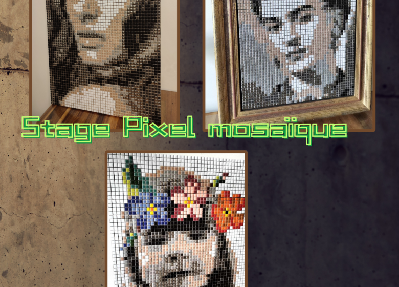 Stage portrait Pixel Monochrome 6 jours