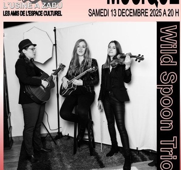 Concert : Le Wild Spoon Trio à l’Usine à Zabu