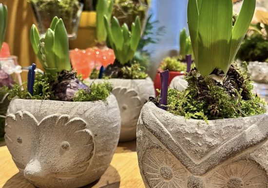 La Véranda Des Thés