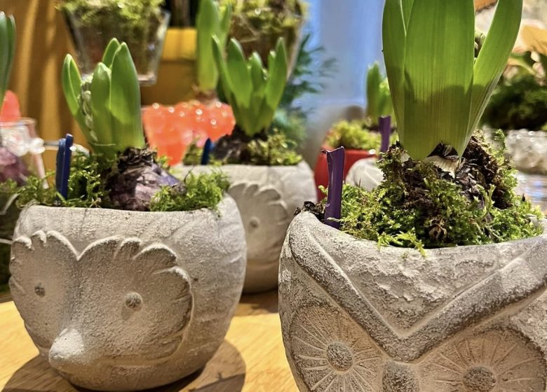 La Véranda Des Thés